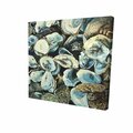 Fondo 16 x 16 in. Oyster Shells-Print on Canvas FO2776872
